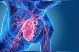 Heart enemies: obesity, hypertension and smoking