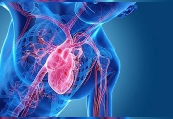 Heart enemies: obesity, hypertension and smoking