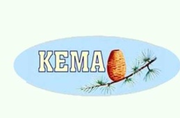 Фонд КЕМА призывает к действиям по борьбе с сосновым жуком-древоточцем