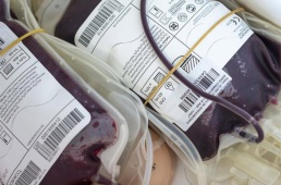 Urgent plead for blood donations